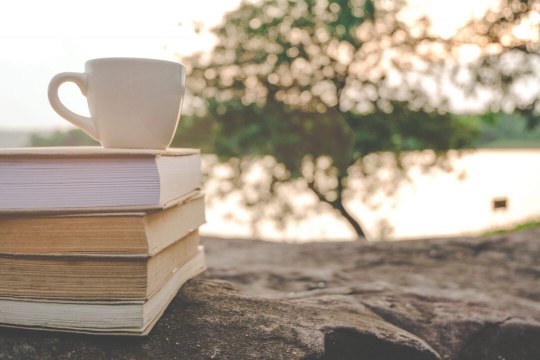 Iconic Southern Women Authors You Should Be Reading