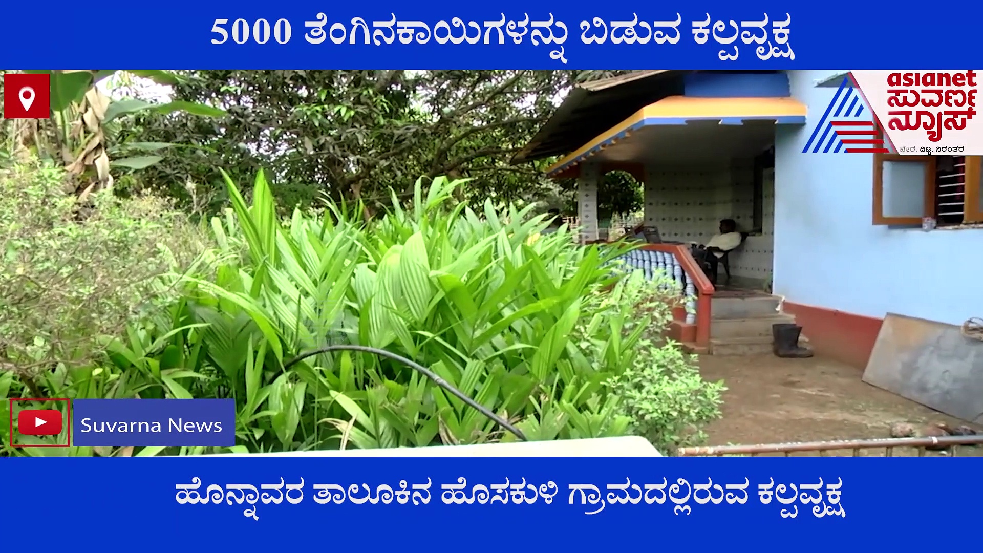 Karwar: ನೋಡುಗರನ್ನ ಹುಬ್ಬೇರಿಸುವಂತೆ ಮಾಡಿದ ತೆಂಗಿನಮರ..! 