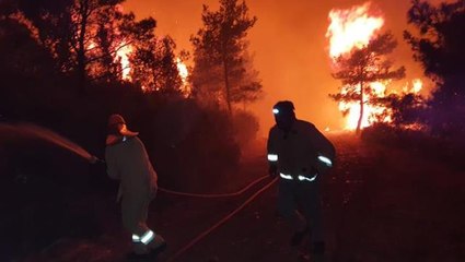 Marmaris Belediye Başkanı'ndan yangının vahametini gösteren sözler: Zor bir gece bizi bekliyor