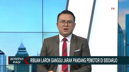 Muncul 2 Kali Sepekan, Ribuan Laron Beterbangan di Jembatan Porong Ganggu Jarak Pandang Pemotor