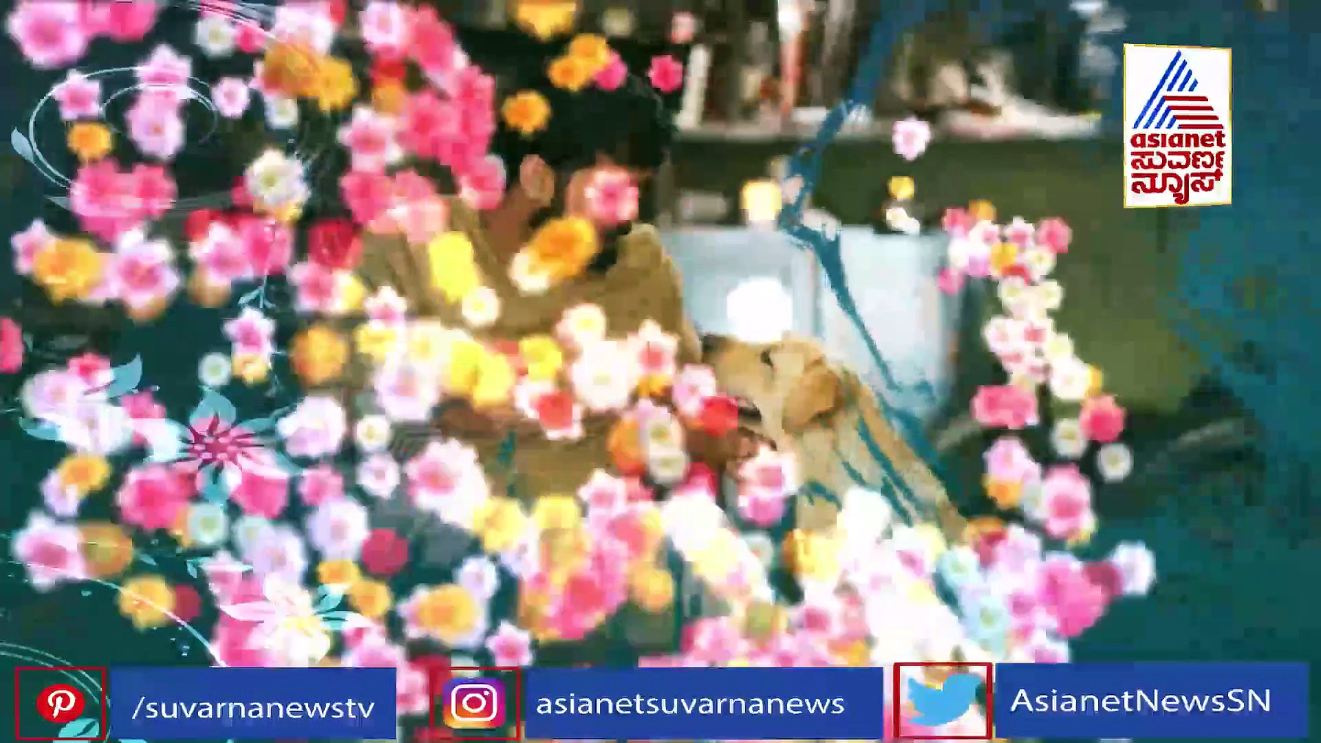 '777 ಚಾರ್ಲಿ' ನೋಡಿ ಸಿಗರೇಟು ಬಿಡ್ತಾ ಇದ್ದೀನಿ ಅಂತ ಒಬ್ರು ಹೇಳಿದ್ರು; ನಟಿ ಸಂಗೀತಾ