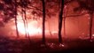 Marmaris'teki orman yangınına havadan ve karadan müdahale ediliyor (4)