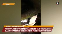 Vehículos destrozados, árboles caídos y varios barrios afectados luego del paso de la tormenta