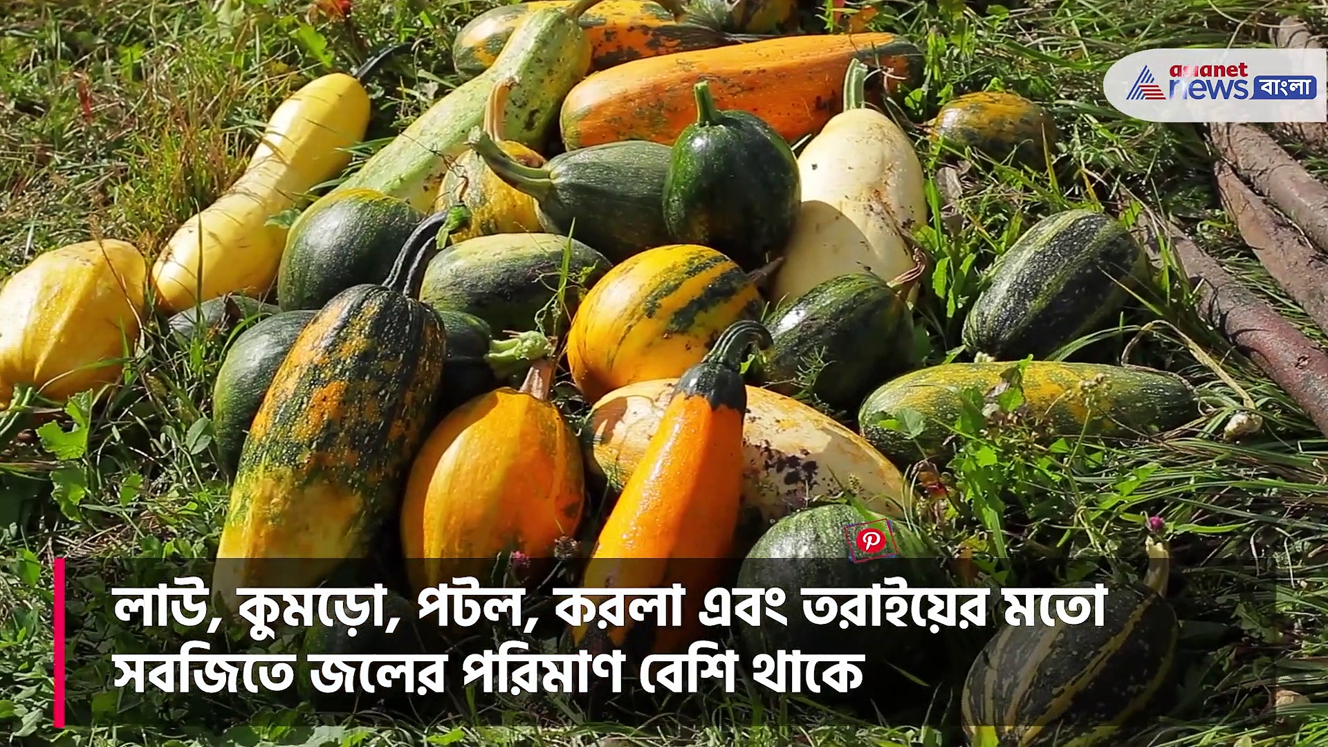 গরমে শরীর ঠাণ্ডা রাখতে পাতে রাখুন এগুলি, সুস্থ থাকার পাশাপাশি কমবে ওজন