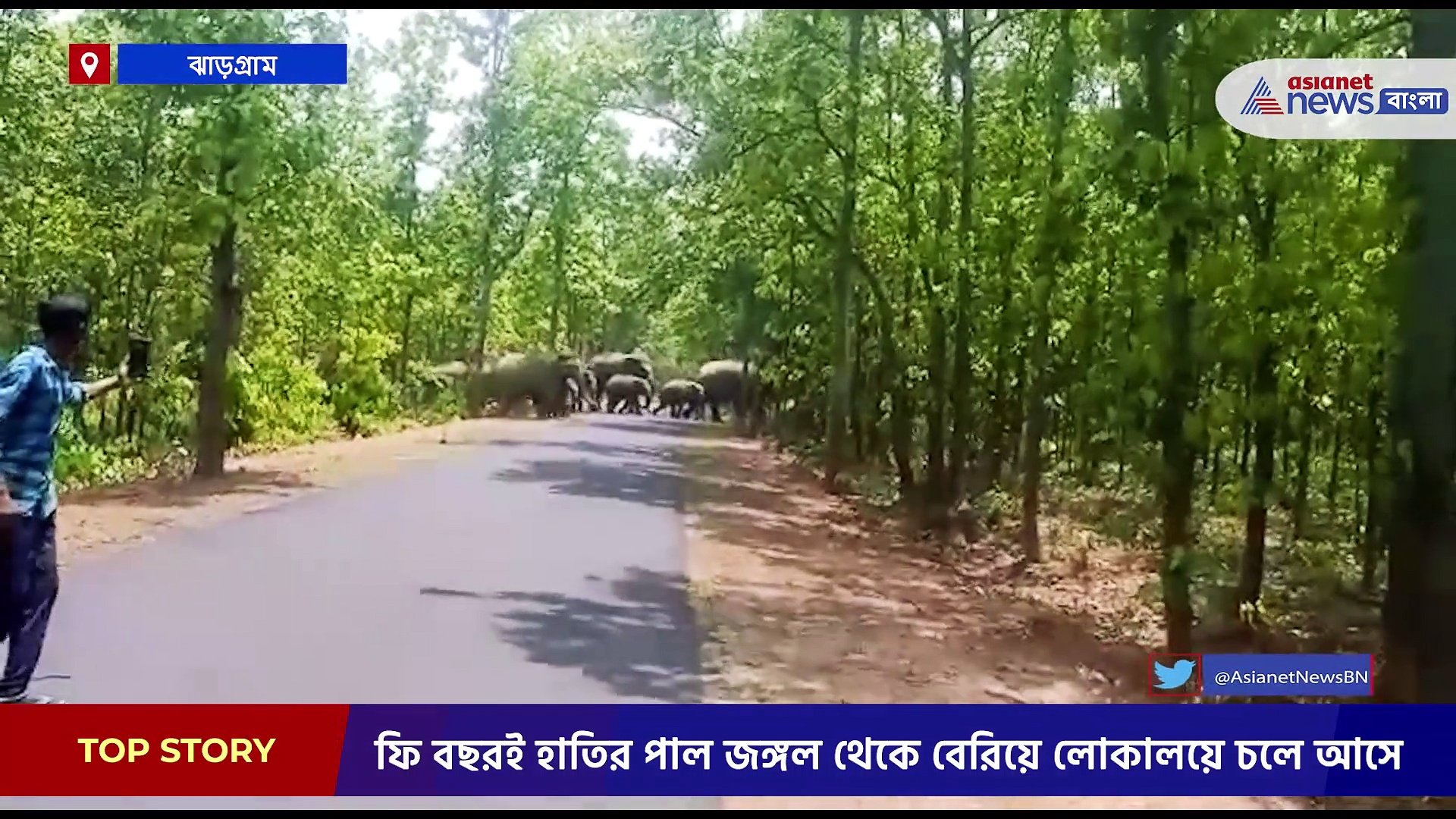 ঝাড়গ্রামে দলমার দামাল হাতিদের তাণ্ডব, জখম ১ 