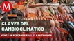 Denuncian venta de pesca ilegal en La Nueva Viga | Claves del Cambio Climático