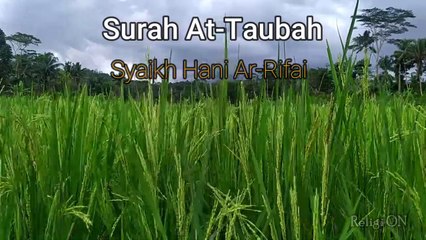 SURAH AT-TAUBAH MERDU FULL - SYAIKH HANI AR - RIFA'I