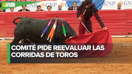 Piden reevaluar suspensión de la tauromaquia en la Plaza México