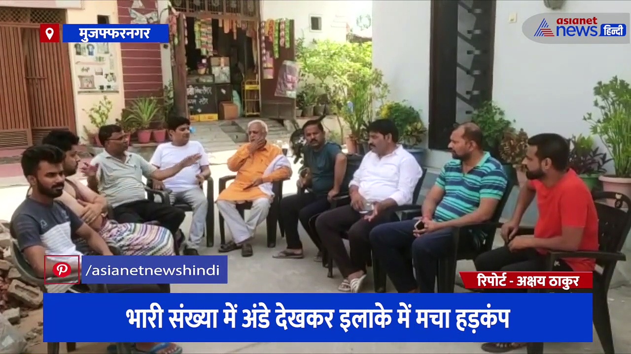 घर के किचन और बाथरूम में टहल रहे थे सांप के बच्चे, 70 से अधिक अंडे देखकर इलाके में मचा हड़कंप