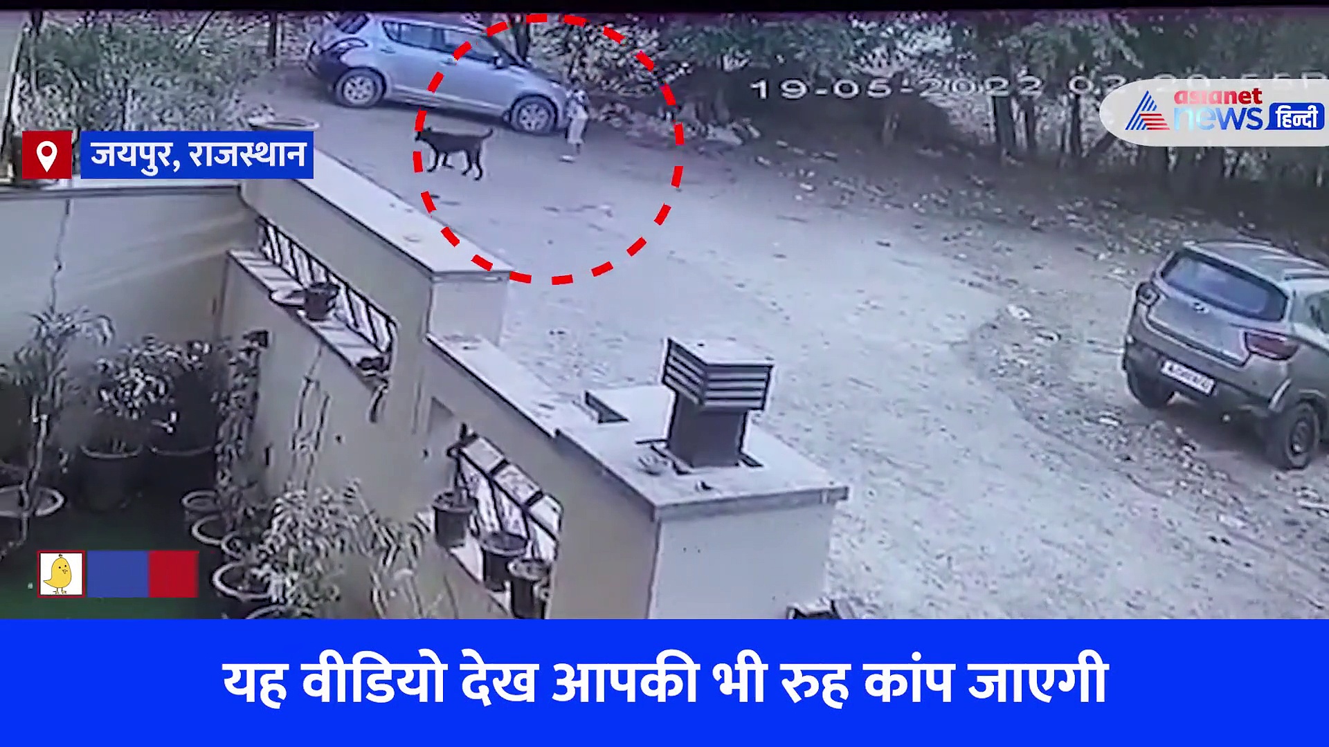 5 कुत्तों ने 9 साल के बच्चे को घेरकर 43 जगहों पर काटा, 1 मिनट 28 सैकेंड का खौफनाक VIDEO