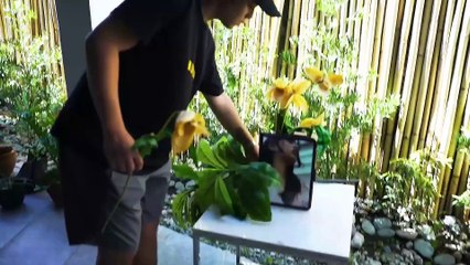 Kapuso Insider: Khalil Ramos, natupad ang pangarap maging direktor sa 'Love You Stranger'