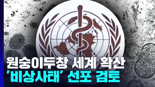 WHO 내일 긴급회의 '원숭이두창 비상사태 선포 논의' / YTN