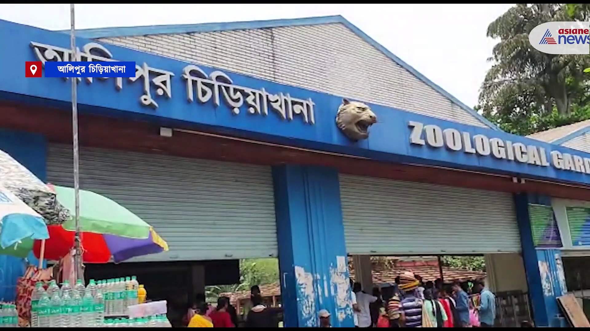 খাঁচা থেকে বেরিয়ে এল শিম্পাঞ্জি, বাগে আনতে রীতিমত কালঘাম ছুটল আলিপুর চিড়িয়াখানা কর্তৃপক্ষের  