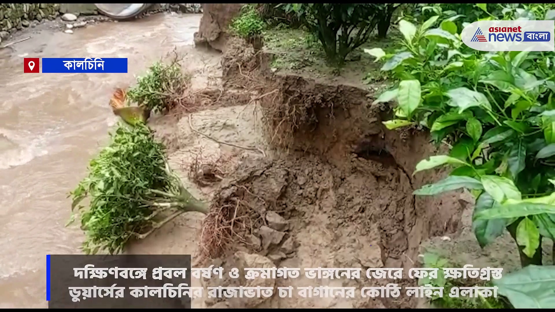 উত্তরবঙ্গে প্রবল বর্ষণ ও  ভাঙ্গনের জেরে ক্ষতিগ্রস্ত ডুয়ার্সের কালচিনি