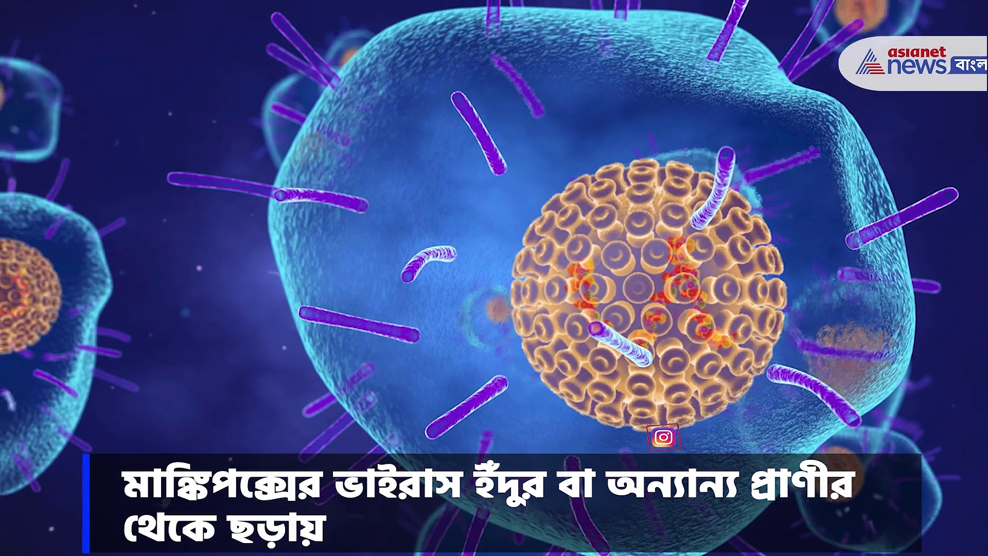 মাঙ্কিপক্স ভাইরাস কীভাবে ছড়ায় সংক্রমণ, কীভাবে হবেন সাবধান জানুন