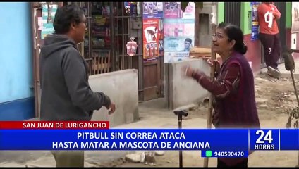 SJL: dueño de pitbull que mató a mascota de anciana justificó el ataque