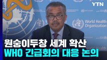 WHO, 내일 '원숭이두창' 긴급회의...40여개국 확산에 비상사태선포 논의 / YTN