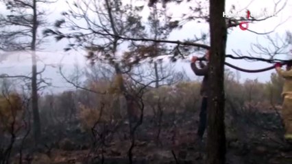 Son Dakika! Marmaris'teki orman yangınına müdahale sürüyor