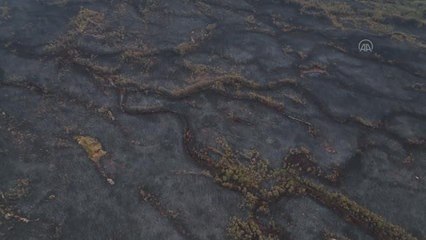 NEW JERSEY - ABD'de havaların ısınması orman yangınlarına neden oluyor