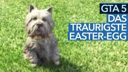 Das traurigste Easter Egg in GTA 5 - Die Geschichte um den Hund Greyfriars Bobby
