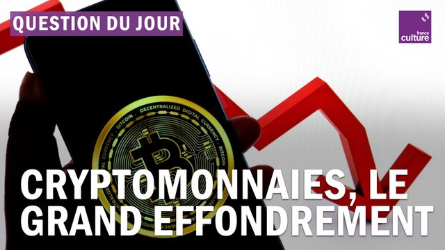 Pourquoi les cryptomonnaies s’effondrent-elles ?