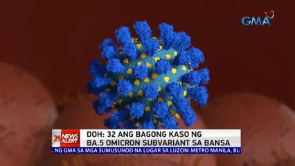 DOH: 32 ang bagong kaso ng BA.5 Omicron subvariant sa bansa | 24 Oras News Alert