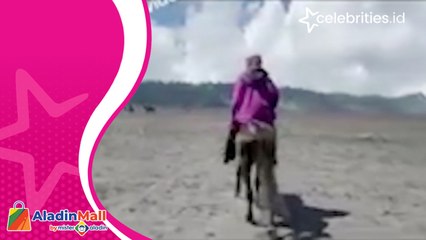 Viral di Medsos, Pemandu Kuda Wisata di Bromo Diduga Memalak Pengunjung