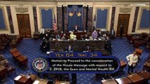 Senadores reveem lei das armas nos EUA