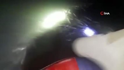 Van'da kaçak avlanılmış 4 buçuk ton canlı inci kefali ele geçirildi