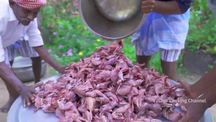 500 QUAIL BIRDS | Cooking Delicious 500 Farm Quails | Making Traditional Quail Curry Recipe