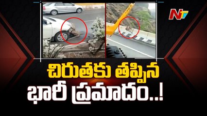 Leopard's Close Escape after being Hit by Car on Highway _ Ntv