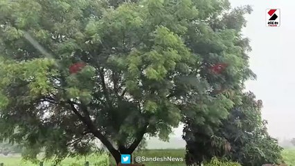 તાપીમાં ગાજવીજ અને પવન સાથે વરસાદ પડ્યો