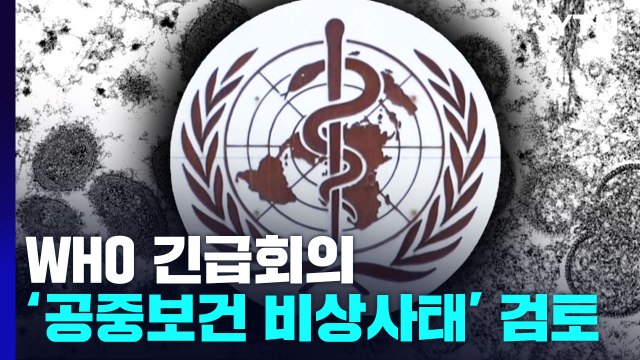 원숭이두창 확산에 WHO 긴급회의...'공중보건 비상사태 검토' / YTN