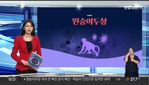 [그래픽뉴스] 원숭이두창