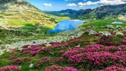 Puiu Nastase- mai veniti ,copii,pe acasa!