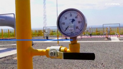 Какие страны предоставят Евросоюзу газ вместо российского?