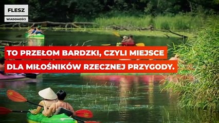To musisz zrobić, jeśli lato spędzasz w Polsce