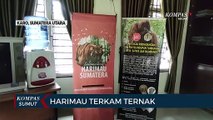 Ternak Dimangsa Hewan Buas, BBKSDA Pasang Kamera Trap