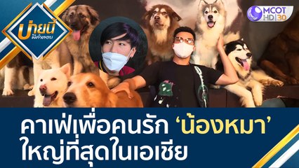 คาเฟ่เพื่อคนรัก 'น้องหมา' ใหญ่ที่สุดในเอเชีย  | บ่ายนี้มีคำตอบ (22 มิ.ย. 65)