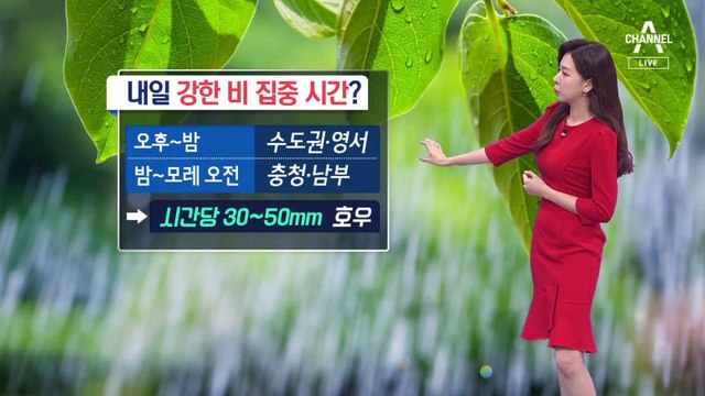 [날씨]내일 내륙 본격 장마…최고 120mm 폭우