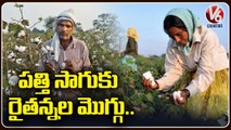 Warangal Farmers Shows Interest On Cotton Cultivation This Year _ V6 News