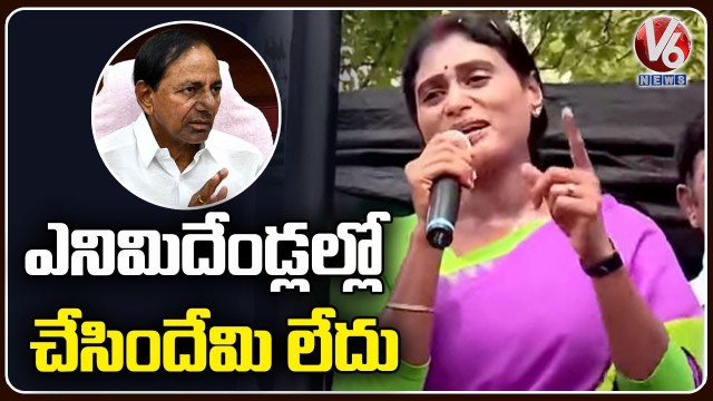 YS Sharmila Slams CM KCR Praja Prasthana Padayatra _ Kodad _ V6 News