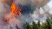 Marmaris'teki orman yangınıyla ilgili Muğla Cumhuriyet Başsavcılığı soruşturma başlattı