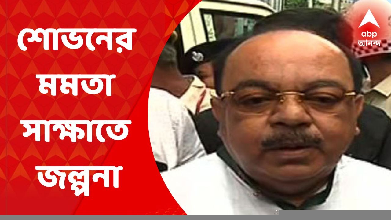 Sovan-Baishakhi: 'দিদির সিদ্ধান্তই মানতে হবে', শোভন-বৈশাখীর মমতা সাক্ষাৎ নিয়ে মন্তব্য দুলালের | Bangla News