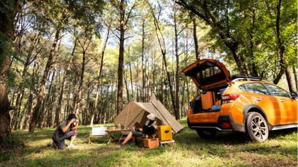 Voici pourquoi il faudrait mettre une pince à linge sur la grille d’aération de la voiture