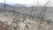 SÖZCÜ Muhabiri yangın bölgesinde izlenimini yazdı: Cennet, 4 yangında kömüre döndü
