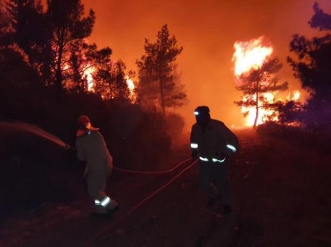 Marmaris yangını nerede çıktı? Marmaris yangında son durum ne? Marmaris yangın bitti mi?