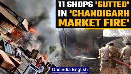 Download Video: Chandigarh: Massive fire breaks out in sector 53 furniture market | Oneindia news *News