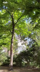 Longines Programming Guide 🕒