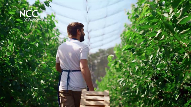 Reporte Climático 47 | Colombia: Rumbo a una producción agropecuaria sostenible
